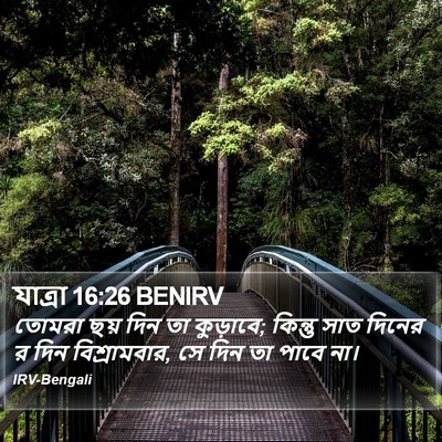 যাত্ৰা 16:26 BENIRV Bible Verse Image