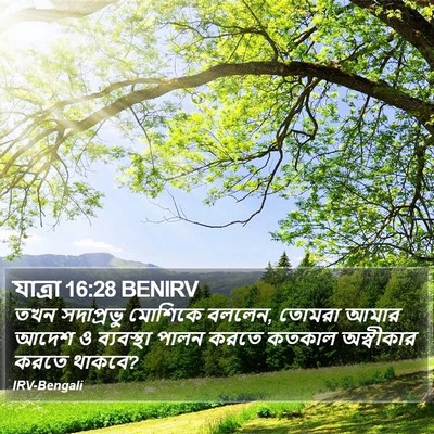 যাত্ৰা 16:28 BENIRV Bible Verse Image
