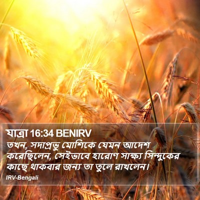 যাত্ৰা 16:34 BENIRV Bible Verse Image
