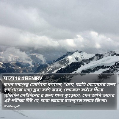 যাত্ৰা 16:4 BENIRV Bible Verse Image