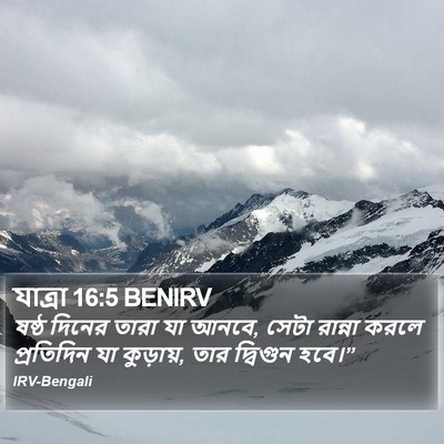 যাত্ৰা 16:5 BENIRV Bible Verse Image