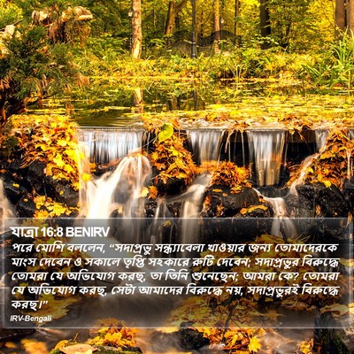 যাত্ৰা 16:8 BENIRV Bible Verse Image