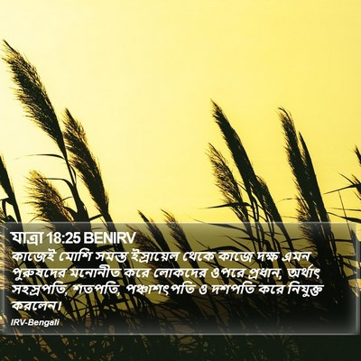 যাত্ৰা 18:25 BENIRV Bible Verse Image