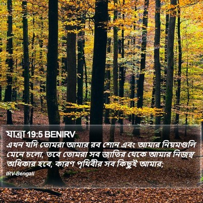 যাত্ৰা 19:5 BENIRV Bible Verse Image