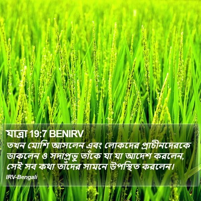 যাত্ৰা 19:7 BENIRV Bible Verse Image