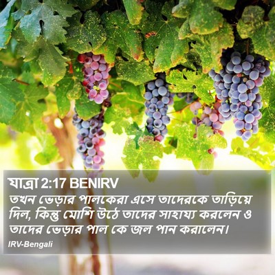 যাত্ৰা 2:17 BENIRV Bible Verse Image