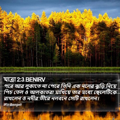 যাত্ৰা 2:3 BENIRV Bible Verse Image