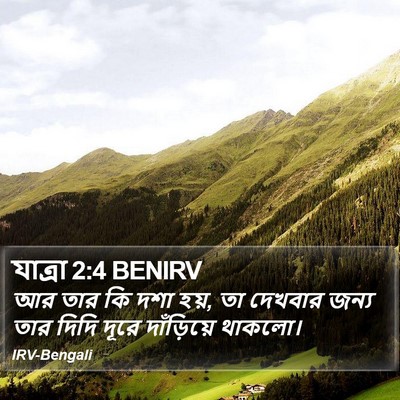 যাত্ৰা 2:4 BENIRV Bible Verse Image