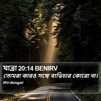 যাত্ৰা 20:14 BENIRV Bible Verse Image