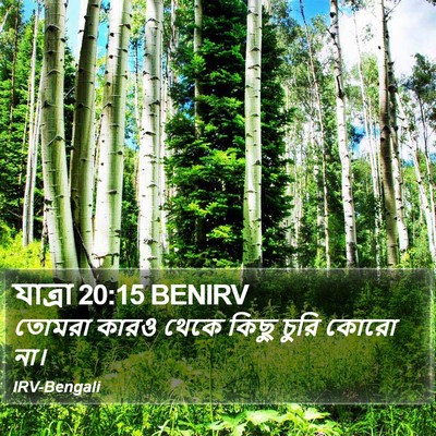যাত্ৰা 20:15 BENIRV Bible Verse Image