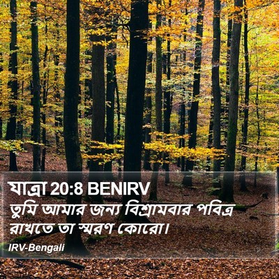 যাত্ৰা 20:8 BENIRV Bible Verse Image
