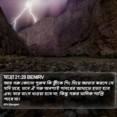 যাত্ৰা 21:28 BENIRV Bible Verse Image