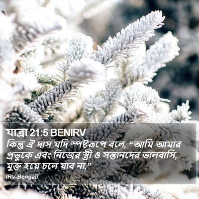 যাত্ৰা 21:5 BENIRV Bible Verse Image