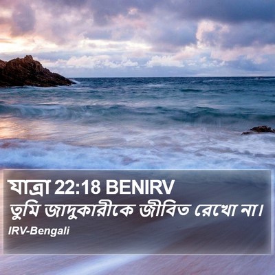 যাত্ৰা 22:18 BENIRV Bible Verse Image