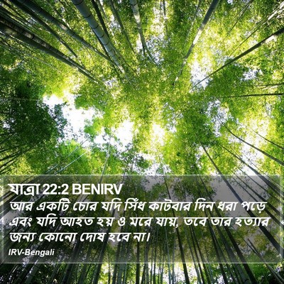 যাত্ৰা 22:2 BENIRV Bible Verse Image