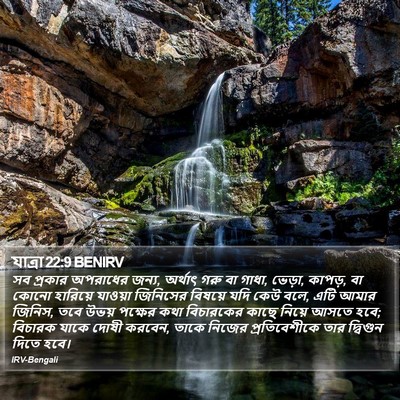 যাত্ৰা 22:9 BENIRV Bible Verse Image