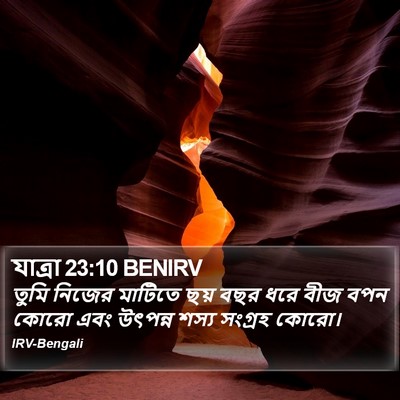 যাত্ৰা 23:10 BENIRV Bible Verse Image