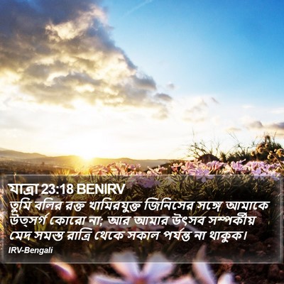 যাত্ৰা 23:18 BENIRV Bible Verse Image