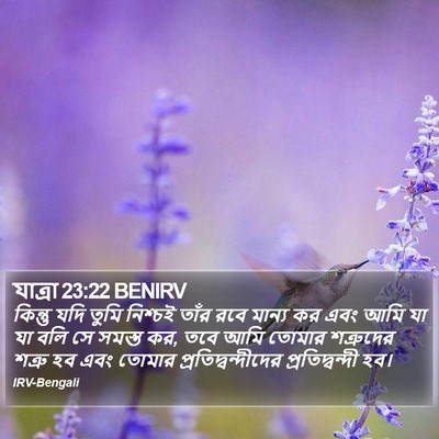 যাত্ৰা 23:22 BENIRV Bible Verse Image