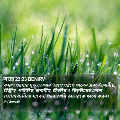 যাত্ৰা 23:23 BENIRV Bible Verse Image