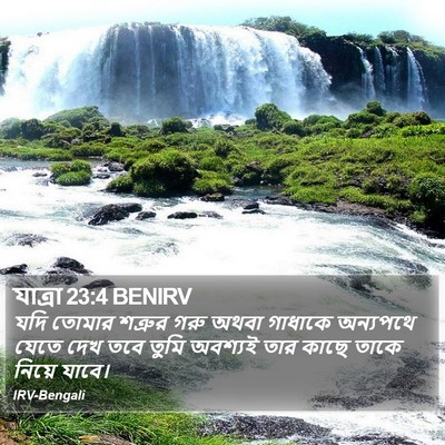 যাত্ৰা 23:4 BENIRV Bible Verse Image