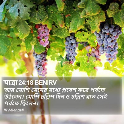 যাত্ৰা 24:18 BENIRV Bible Verse Image
