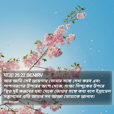 যাত্ৰা 25:22 BENIRV Bible Verse Image
