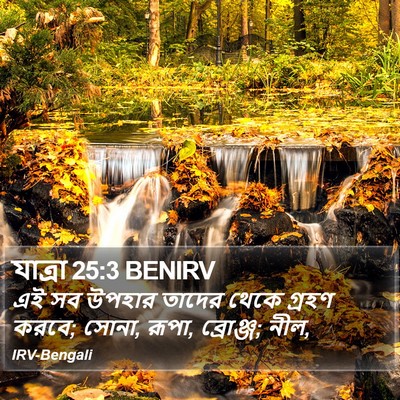 যাত্ৰা 25:3 BENIRV Bible Verse Image
