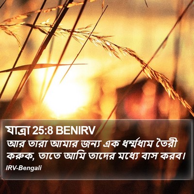 যাত্ৰা 25:8 BENIRV Bible Verse Image