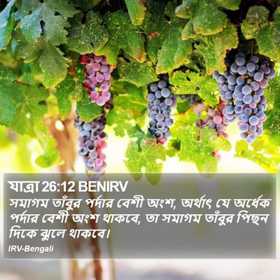 যাত্ৰা 26:12 BENIRV Bible Verse Image