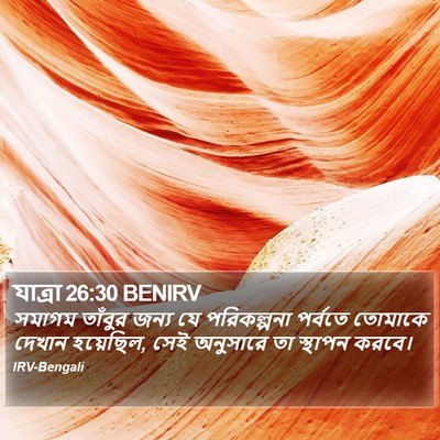 যাত্ৰা 26:30 BENIRV Bible Verse Image