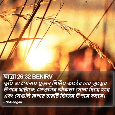 যাত্ৰা 26:32 BENIRV Bible Verse Image
