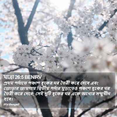 যাত্ৰা 26:5 BENIRV Bible Verse Image