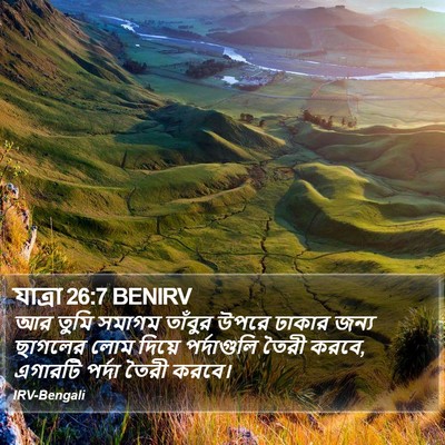 যাত্ৰা 26:7 BENIRV Bible Verse Image