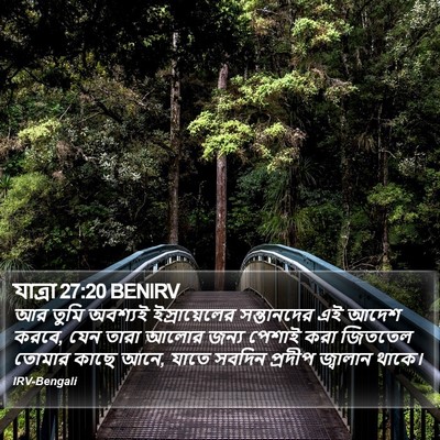 যাত্ৰা 27:20 BENIRV Bible Verse Image