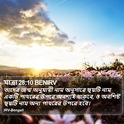 যাত্ৰা 28:10 BENIRV Bible Verse Image