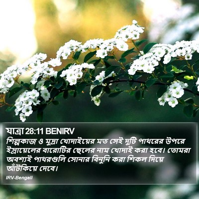 যাত্ৰা 28:11 BENIRV Bible Verse Image