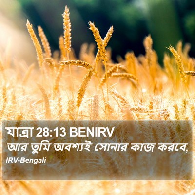 যাত্ৰা 28:13 BENIRV Bible Verse Image