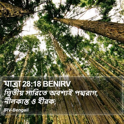 যাত্ৰা 28:18 BENIRV Bible Verse Image