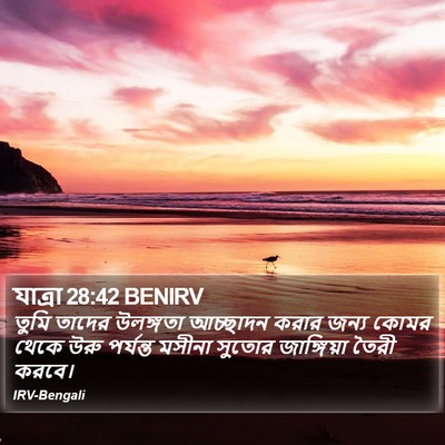 যাত্ৰা 28:42 BENIRV Bible Verse Image