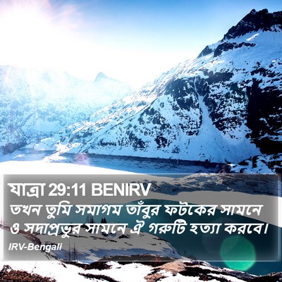 যাত্ৰা 29:11 BENIRV Bible Verse Image