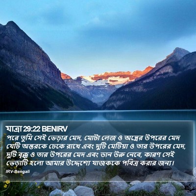 যাত্ৰা 29:22 BENIRV Bible Verse Image