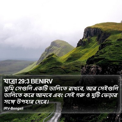 যাত্ৰা 29:3 BENIRV Bible Verse Image