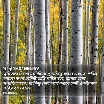 যাত্ৰা 29:37 BENIRV Bible Verse Image