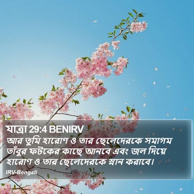 যাত্ৰা 29:4 BENIRV Bible Verse Image