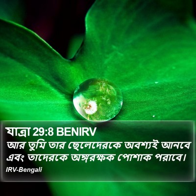 যাত্ৰা 29:8 BENIRV Bible Verse Image