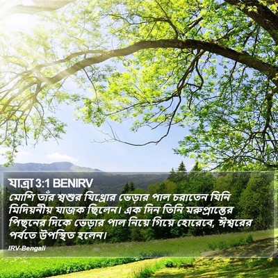 যাত্ৰা 3:1 BENIRV Bible Verse Image