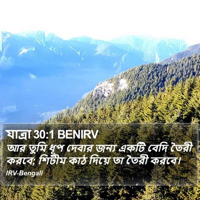 যাত্ৰা 30:1 BENIRV Bible Verse Image