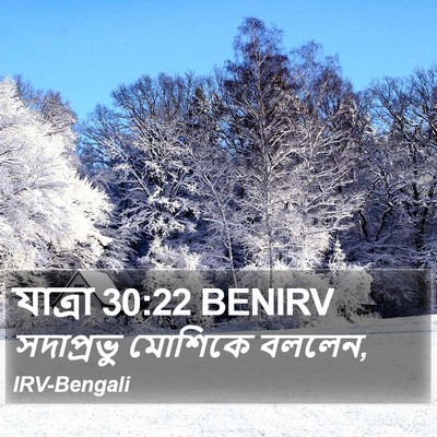 যাত্ৰা 30:22 BENIRV Bible Verse Image