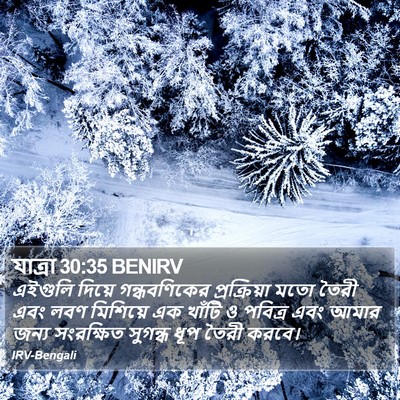 যাত্ৰা 30:35 BENIRV Bible Verse Image